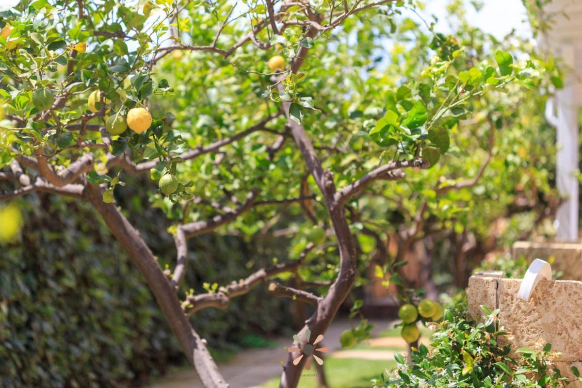 Farm stay Tenuta Margherita Torre Lapillo