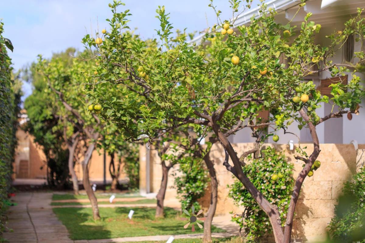 Tenuta Margherita *